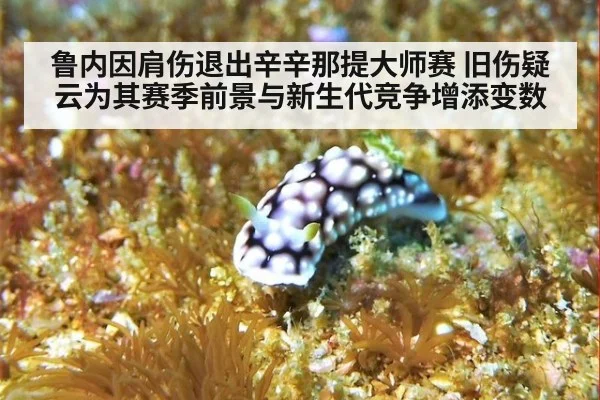 鲁内因肩伤退出辛辛那提大师赛 旧伤疑云为其赛季前景与新生代竞争增添变数